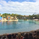 Sea World