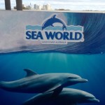 Sea World