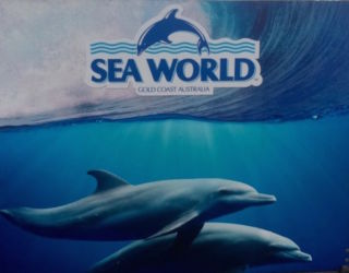 Sea World Gold Coast East Coast Australia