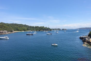 Manly Collins Flat Beach